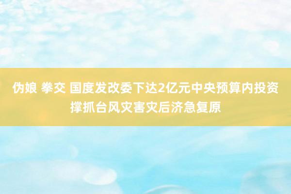 伪娘 拳交 国度发改委下达2亿元中央预算内投资撑抓台风灾害灾后济急复原