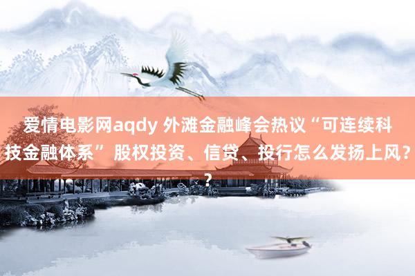 爱情电影网aqdy 外滩金融峰会热议“可连续科技金融体系” 股权投资、信贷、投行怎么发扬上风？