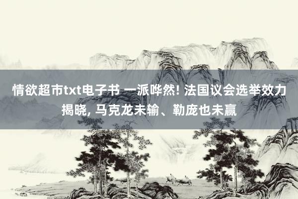 情欲超市txt电子书 一派哗然! 法国议会选举效力揭晓， 马克龙未输、勒庞也未赢