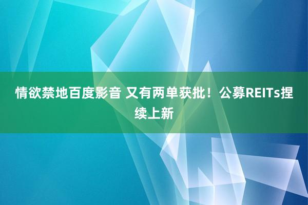 情欲禁地百度影音 又有两单获批！公募REITs捏续上新