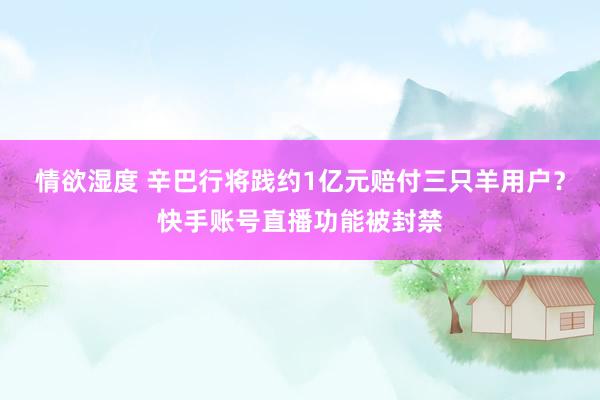 情欲湿度 辛巴行将践约1亿元赔付三只羊用户？快手账号直播功能被封禁