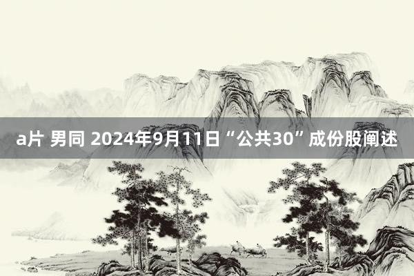 a片 男同 2024年9月11日“公共30”成份股阐述