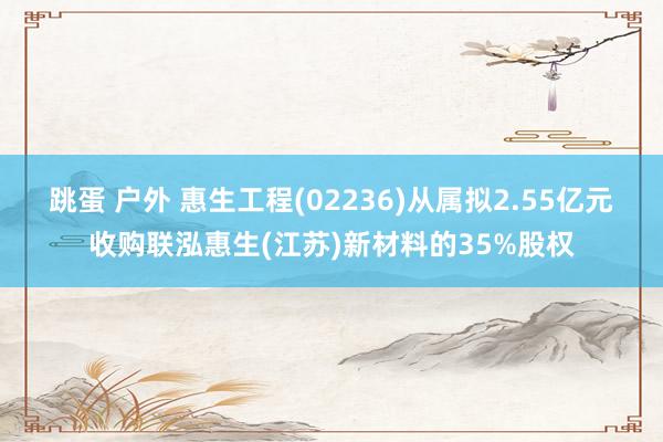 跳蛋 户外 惠生工程(02236)从属拟2.55亿元收购联泓惠生(江苏)新材料的35%股权