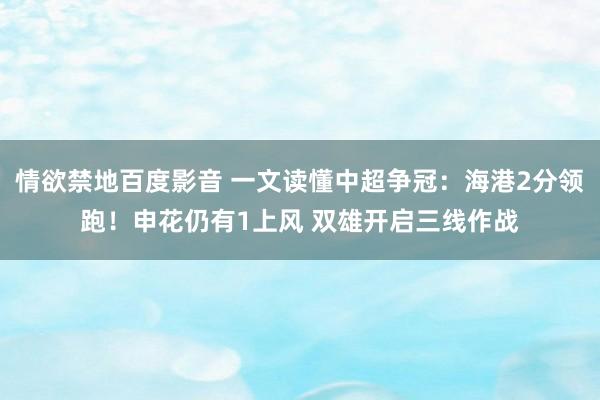 情欲禁地百度影音 一文读懂中超争冠：海港2分领跑！申花仍有1上风 双雄开启三线作战