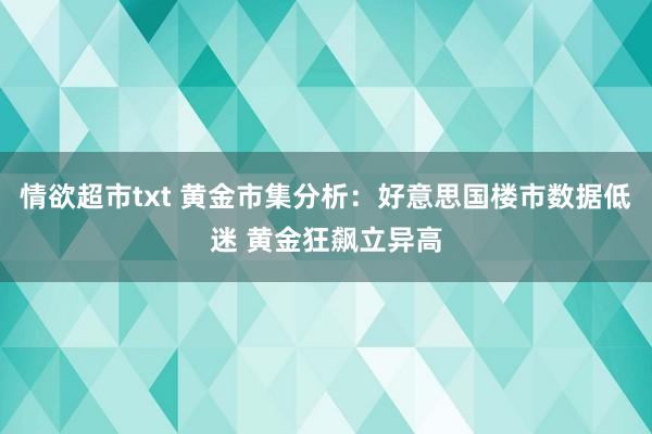 情欲超市txt 黄金市集分析：好意思国楼市数据低迷 黄金狂飙立异高