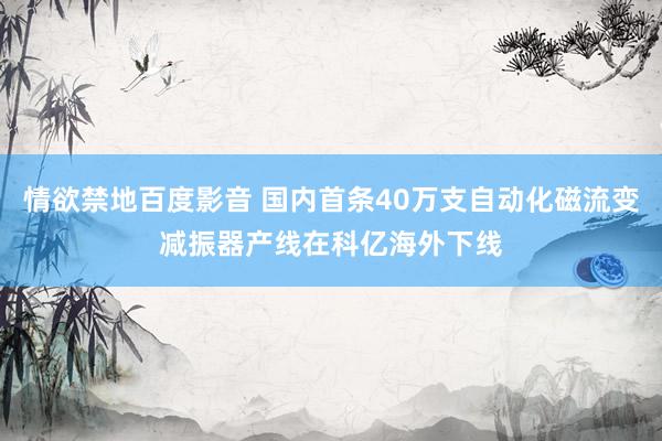 情欲禁地百度影音 国内首条40万支自动化磁流变减振器产线在科亿海外下线