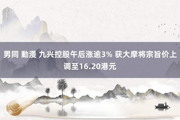 男同 動漫 九兴控股午后涨逾3% 获大摩将宗旨价上调至16.20港元