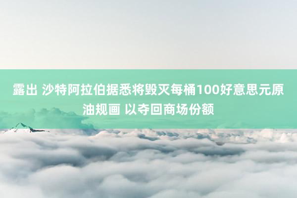 露出 沙特阿拉伯据悉将毁灭每桶100好意思元原油规画 以夺回商场份额