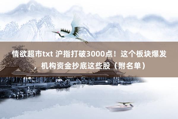 情欲超市txt 沪指打破3000点！这个板块爆发，机构资金抄底这些股（附名单）