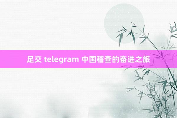 足交 telegram 中国稽查的奋进之旅