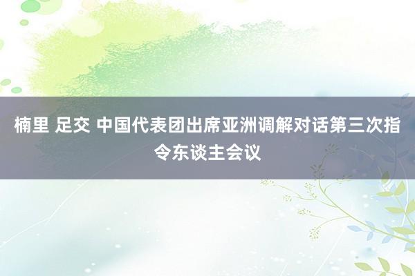 楠里 足交 中国代表团出席亚洲调解对话第三次指令东谈主会议