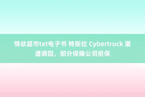 情欲超市txt电子书 特斯拉 Cybertruck 屡遭调回，部分保障公司拒保