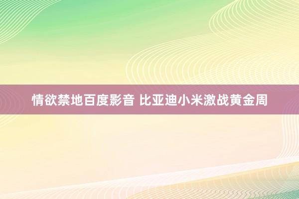 情欲禁地百度影音 比亚迪小米激战黄金周