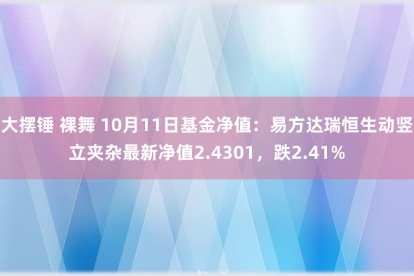 大摆锤 裸舞 10月11日基金净值：易方达瑞恒生动竖立夹杂最新净值2.4301，跌2.41%