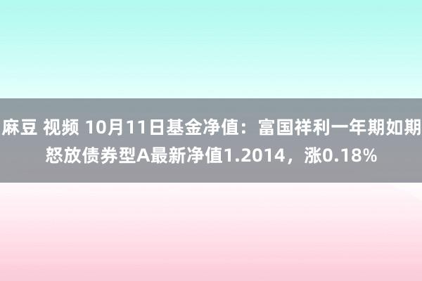 麻豆 视频 10月11日基金净值：富国祥利一年期如期怒放债券型A最新净值1.2014，涨0.18%