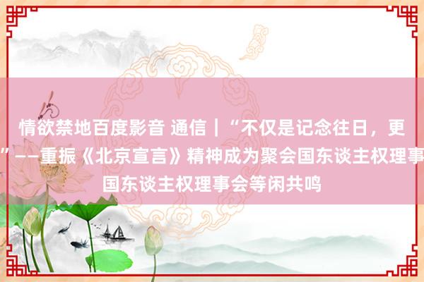 情欲禁地百度影音 通信｜“不仅是记念往日，更是瞻望未来”——重振《北京宣言》精神成为聚会国东谈主权理事会等闲共鸣