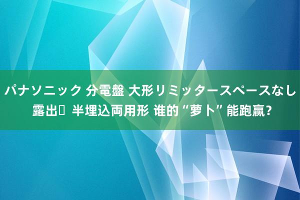 パナソニック 分電盤 大形リミッタースペースなし 露出・半埋込両用形 谁的“萝卜”能跑赢？