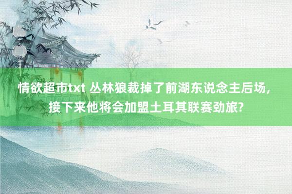 情欲超市txt 丛林狼裁掉了前湖东说念主后场， 接下来他将会加盟土耳其联赛劲旅?