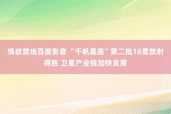 情欲禁地百度影音 “千帆星座”第二批18星放射得胜 卫星产业链加快发展