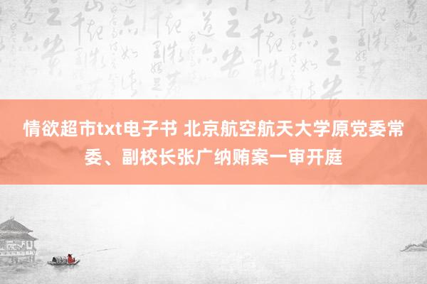 情欲超市txt电子书 北京航空航天大学原党委常委、副校长张广纳贿案一审开庭