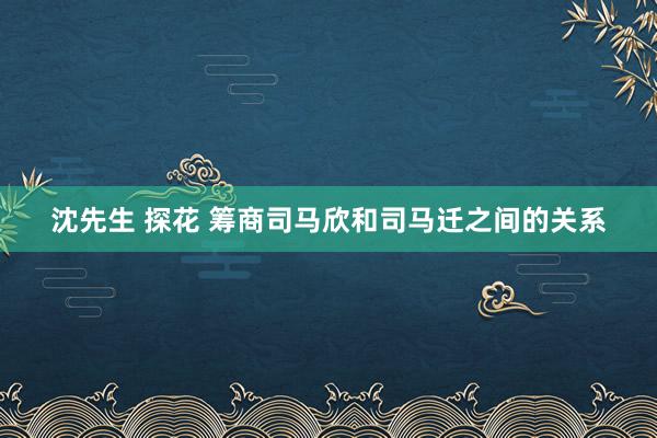 沈先生 探花 筹商司马欣和司马迁之间的关系