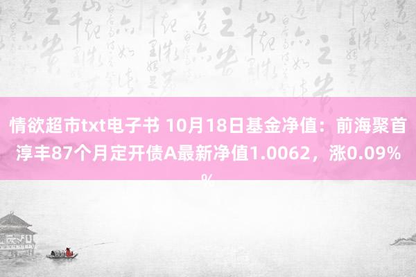 情欲超市txt电子书 10月18日基金净值：前海聚首淳丰87个月定开债A最新净值1.0062，涨0.09%