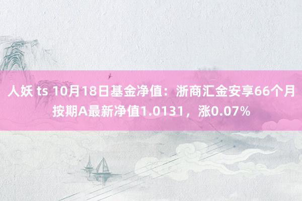 人妖 ts 10月18日基金净值：浙商汇金安享66个月按期A最新净值1.0131，涨0.07%