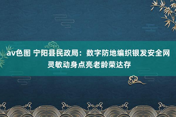 av色图 宁阳县民政局：数字防地编织银发安全网 灵敏动身点亮老龄荣达存