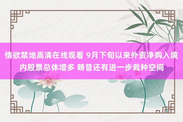 情欲禁地高清在线观看 9月下旬以来外资净购入境内股票总体增多 畴昔还有进一步栽种空间