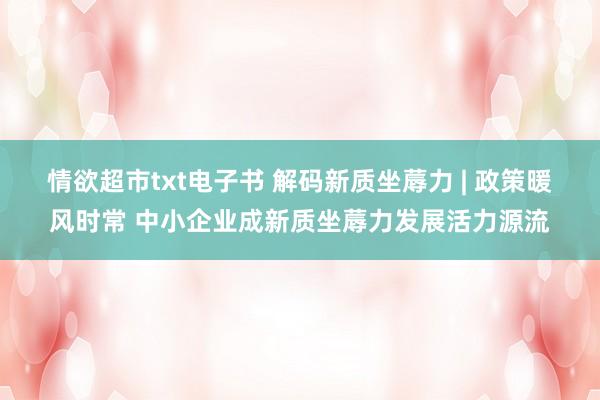 情欲超市txt电子书 解码新质坐蓐力 | 政策暖风时常 中小企业成新质坐蓐力发展活力源流