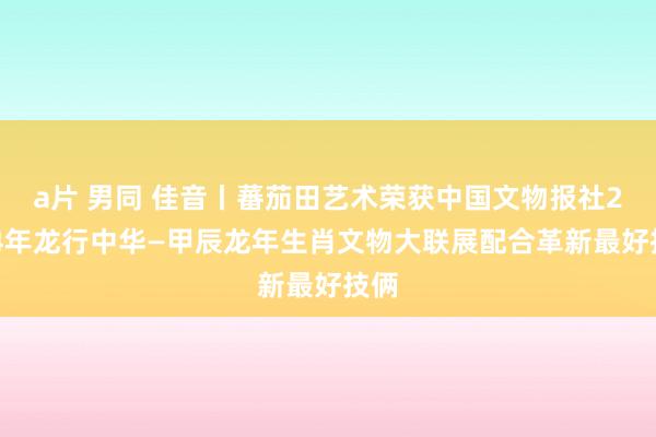 a片 男同 佳音丨蕃茄田艺术荣获中国文物报社2024年龙行中华—甲辰龙年生肖文物大联展配合革新最好技俩