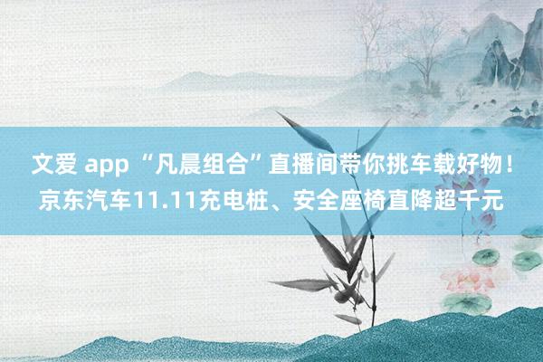 文爱 app “凡晨组合”直播间带你挑车载好物！京东汽车11.11充电桩、安全座椅直降超千元