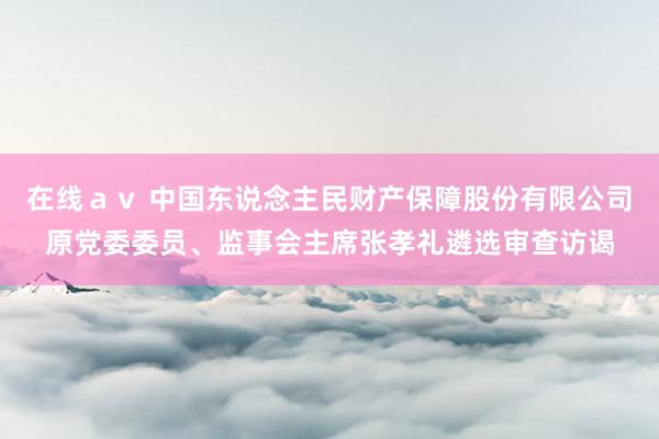 在线ａｖ 中国东说念主民财产保障股份有限公司原党委委员、监事会主席张孝礼遴选审查访谒