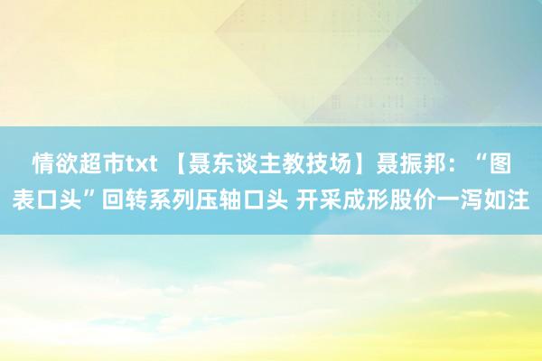 情欲超市txt 【聂东谈主教技场】聂振邦：“图表口头”回转系列压轴口头 开采成形股价一泻如注