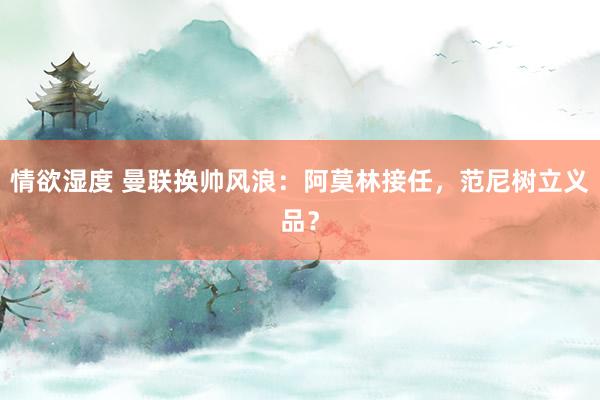 情欲湿度 曼联换帅风浪：阿莫林接任，范尼树立义品？