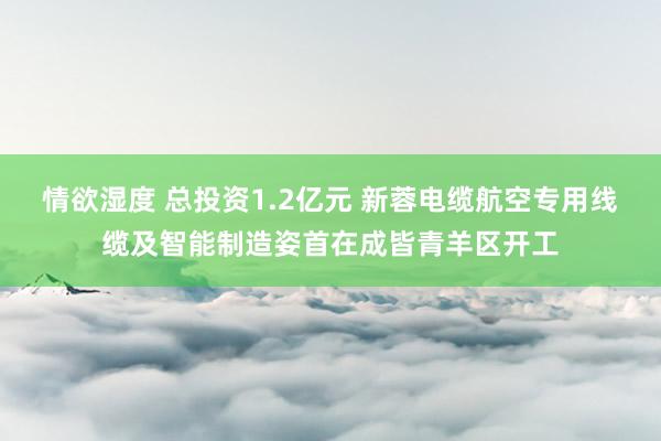 情欲湿度 总投资1.2亿元 新蓉电缆航空专用线缆及智能制造姿首在成皆青羊区开工