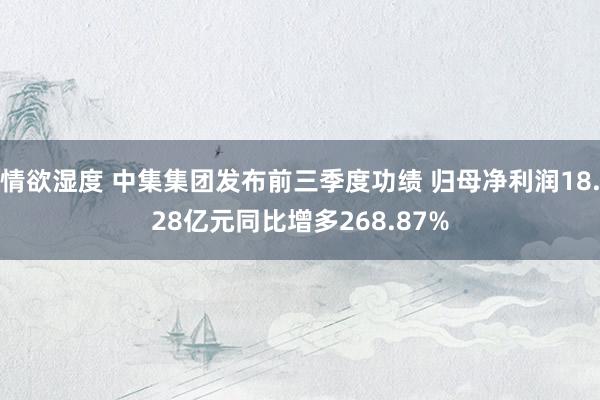 情欲湿度 中集集团发布前三季度功绩 归母净利润18.28亿元同比增多268.87%