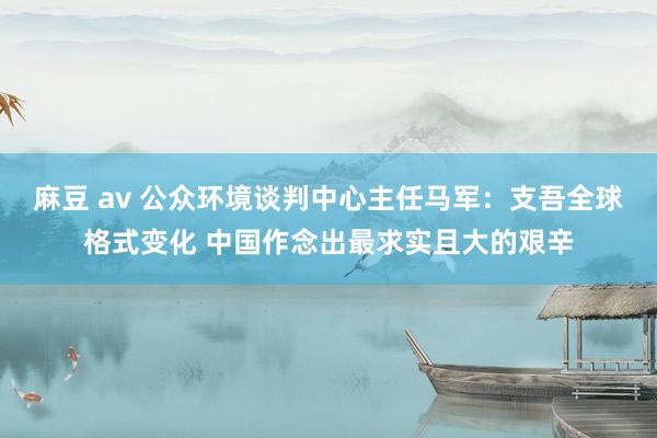 麻豆 av 公众环境谈判中心主任马军：支吾全球格式变化 中国作念出最求实且大的艰辛