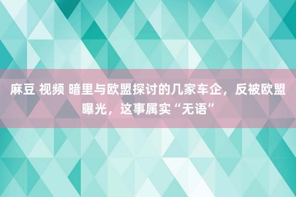 麻豆 视频 暗里与欧盟探讨的几家车企，反被欧盟曝光，这事属实“无语”