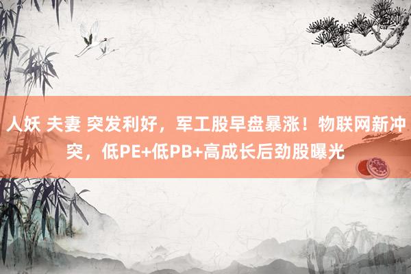 人妖 夫妻 突发利好，军工股早盘暴涨！物联网新冲突，低PE+低PB+高成长后劲股曝光