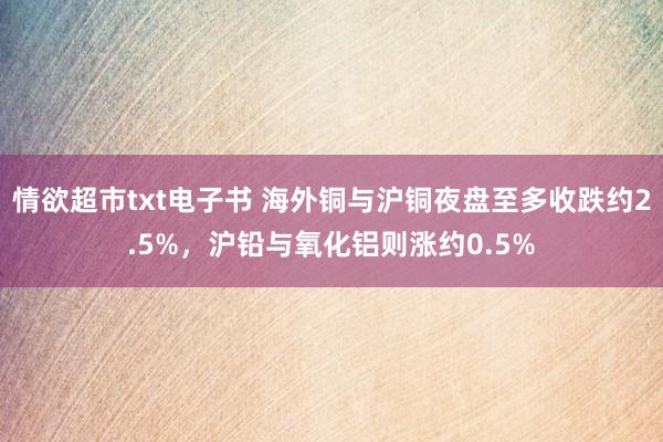 情欲超市txt电子书 海外铜与沪铜夜盘至多收跌约2.5%，沪铅与氧化铝则涨约0.5%