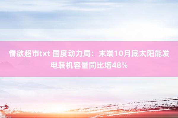 情欲超市txt 国度动力局：末端10月底太阳能发电装机容量同比增48%