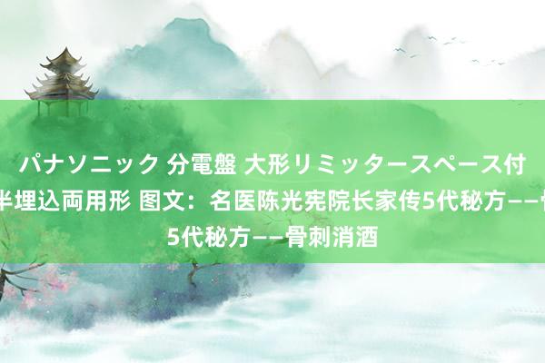 パナソニック 分電盤 大形リミッタースペース付 露出・半埋込両用形 图文：名医陈光宪院长家传5代秘方——骨刺消酒