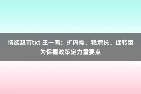 情欲超市txt 王一鸣：扩内需、稳增长、促转型为保握政策定力重要点