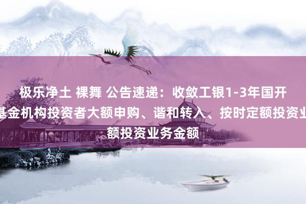 极乐净土 裸舞 公告速递：收敛工银1-3年国开债指数基金机构投资者大额申购、谐和转入、按时定额投资业务金额