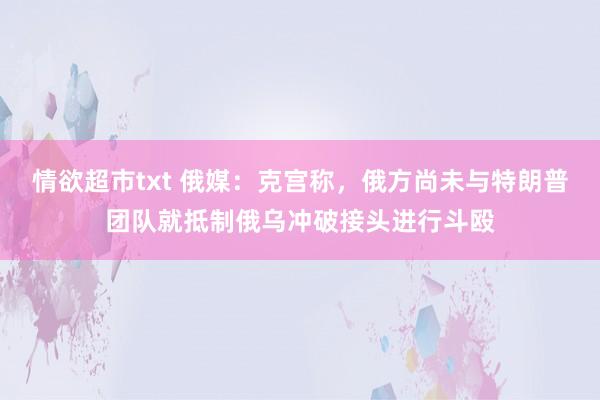 情欲超市txt 俄媒：克宫称，俄方尚未与特朗普团队就抵制俄乌冲破接头进行斗殴