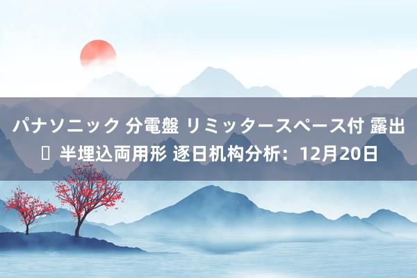 パナソニック 分電盤 リミッタースペース付 露出・半埋込両用形 逐日机构分析：12月20日