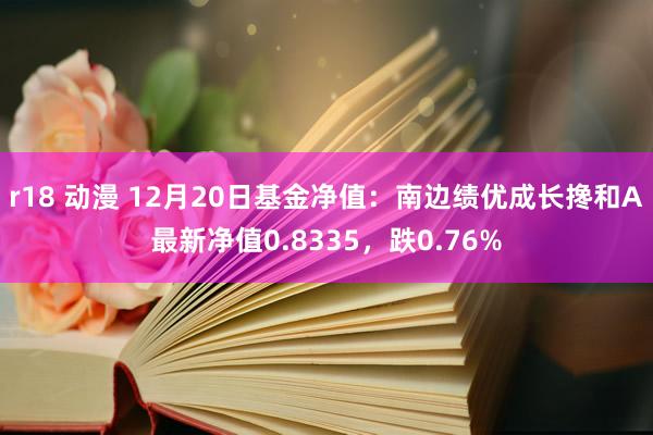 r18 动漫 12月20日基金净值：南边绩优成长搀和A最新净值0.8335，跌0.76%