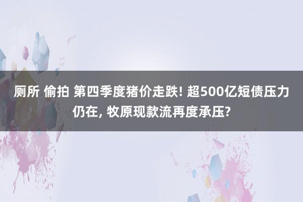 厕所 偷拍 第四季度猪价走跌! 超500亿短债压力仍在， 牧原现款流再度承压?