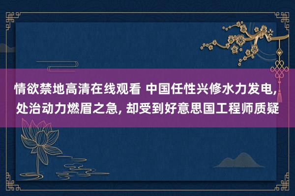 情欲禁地高清在线观看 中国任性兴修水力发电， 处治动力燃眉之急， 却受到好意思国工程师质疑